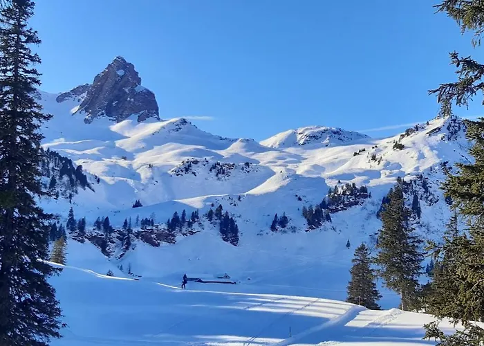 Im Gus - Flumserberge & Walensee Feriehus Oberterzen