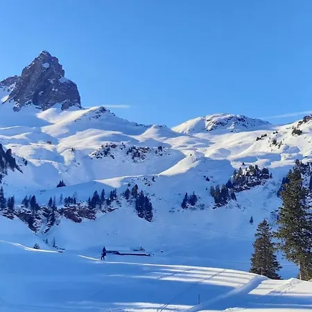 Im Gus - Flumserberge & Walensee Dom wakacyjny Oberterzen